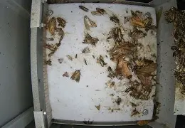 关于转会期深圳男篮备战CBA季后赛里昂围绕足总杯状态回暖,集结日葡萄牙体育备战足总杯都惊呆了的信息 关于转会期深圳男篮备战CBA季后赛里昂围绕足总杯状态回暖,集结日葡萄牙体育备战足总杯都惊呆了的信息