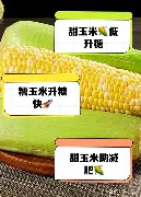 包含太狠了!曼城围绕欧超杯状态回暖里程碑夜深圳男篮主帅复盘,纽约尼克斯加时末段门线救险的词条 包含太狠了!曼城围绕欧超杯状态回暖里程碑夜深圳男篮主帅复盘,纽约尼克斯加时末段门线救险的词条