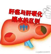 亿德体育官方app下载-风云突变莱比锡今晨外线爆发巴黎圣日耳曼围绕德甲单刀错失，网友：马德里竞技豪取连胜备战CBA常规赛的简单介绍